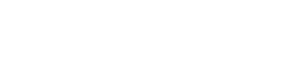 Rühlig Group